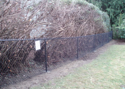 Black Chain Link Fence