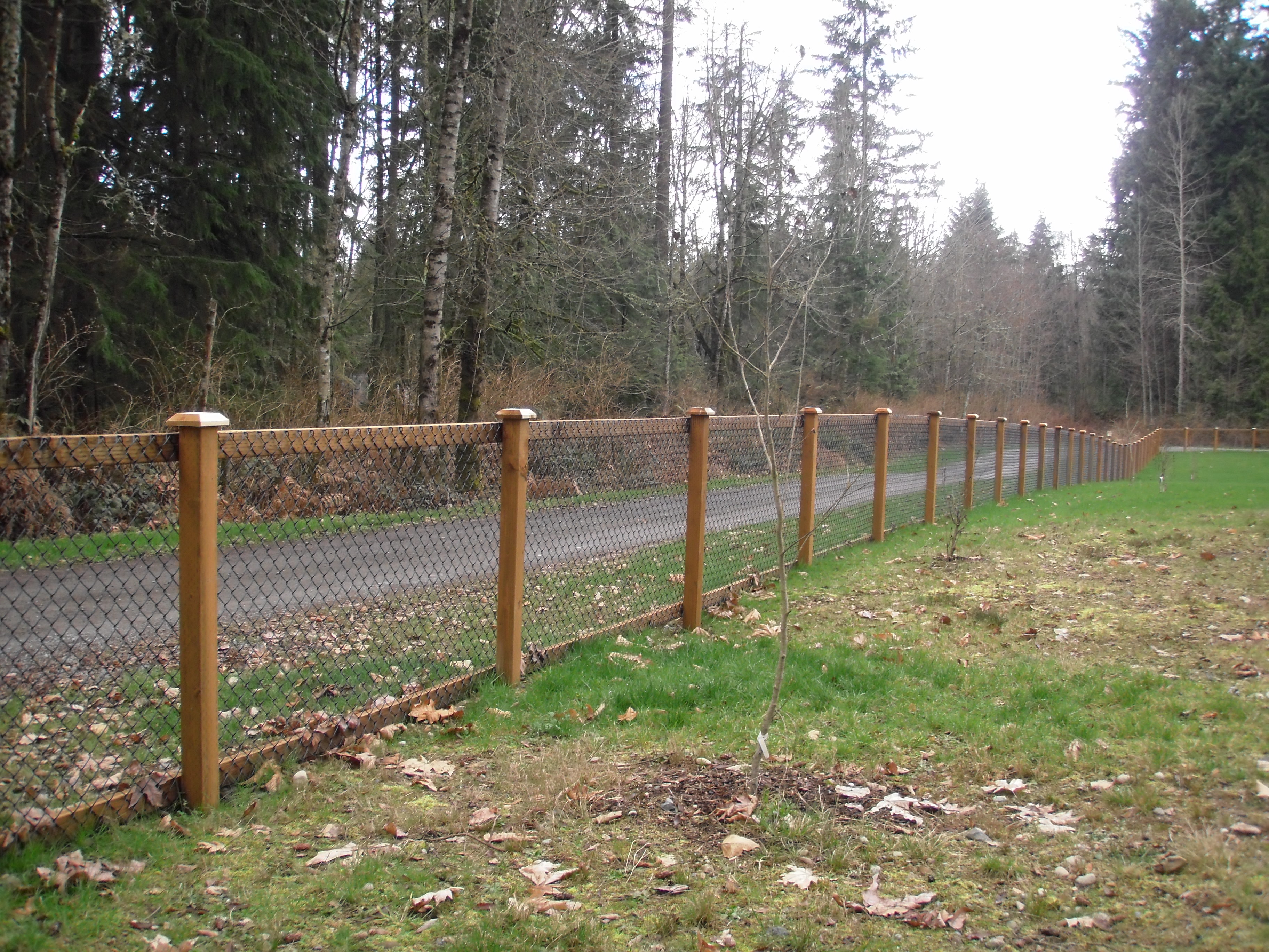 Chain Link Fencing in Sammamish, WA | City Wide Fence