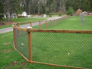 Chain Link Fence with Cedar Wood Trim