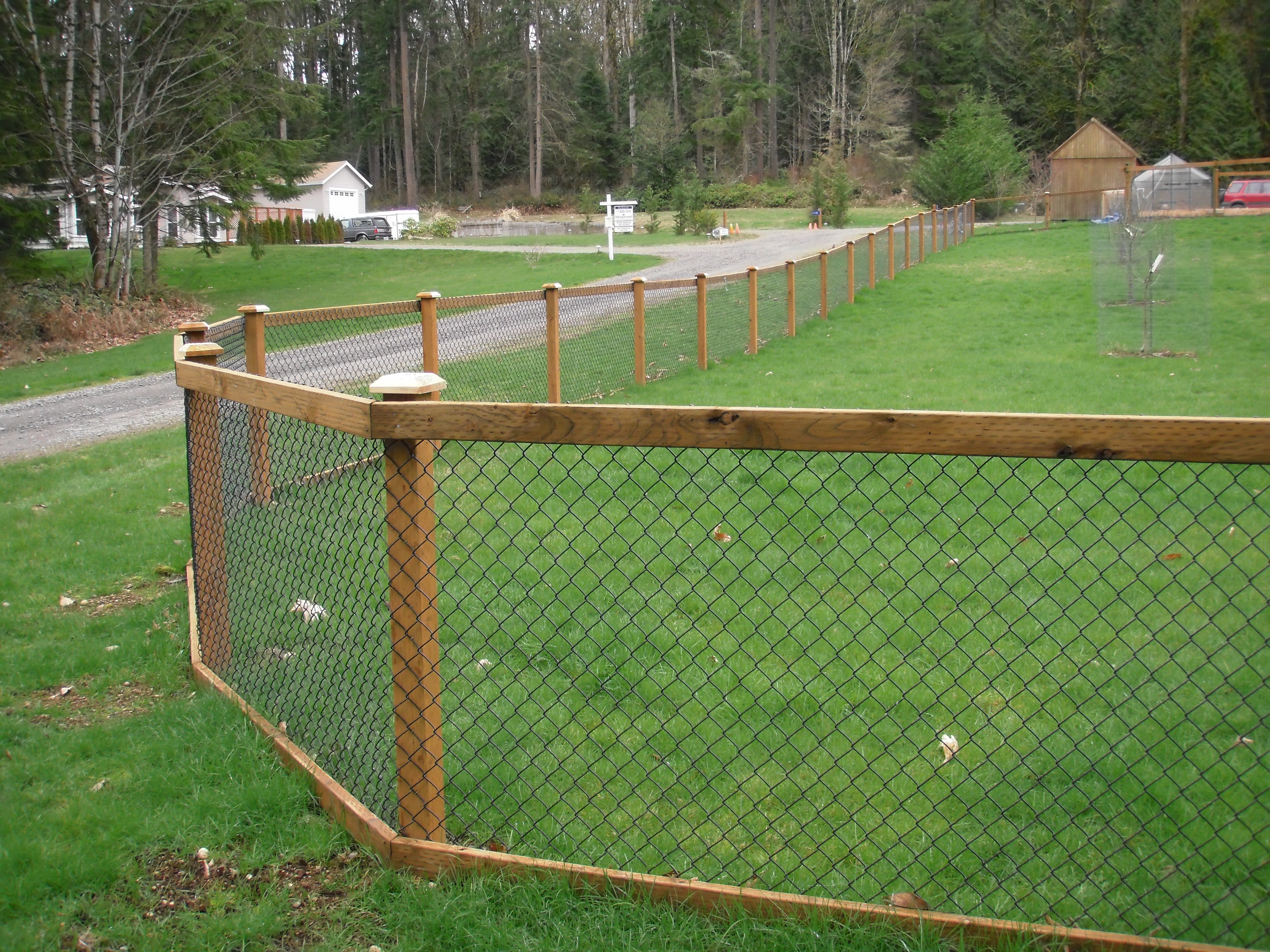 chain linked fence