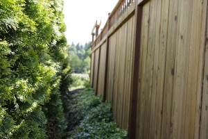 Custom Cedar Fence Lynnwood