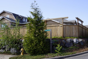 Custom Cedar Fence Lynnwood