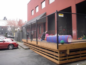 Black Chain Link Fence Around Playground