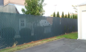 Chain Link Fence with Green Viewguard