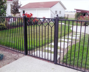 Iron Basic Rail fence with gate