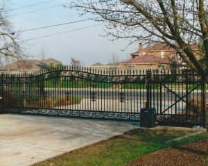 Iron Custom Arched Gate to Estate