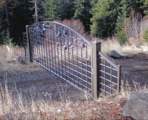 Custom Iron Gate with Grapes